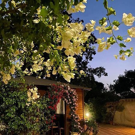 SantʼAnna Arresi B&B Il Girasole المظهر الخارجي الصورة