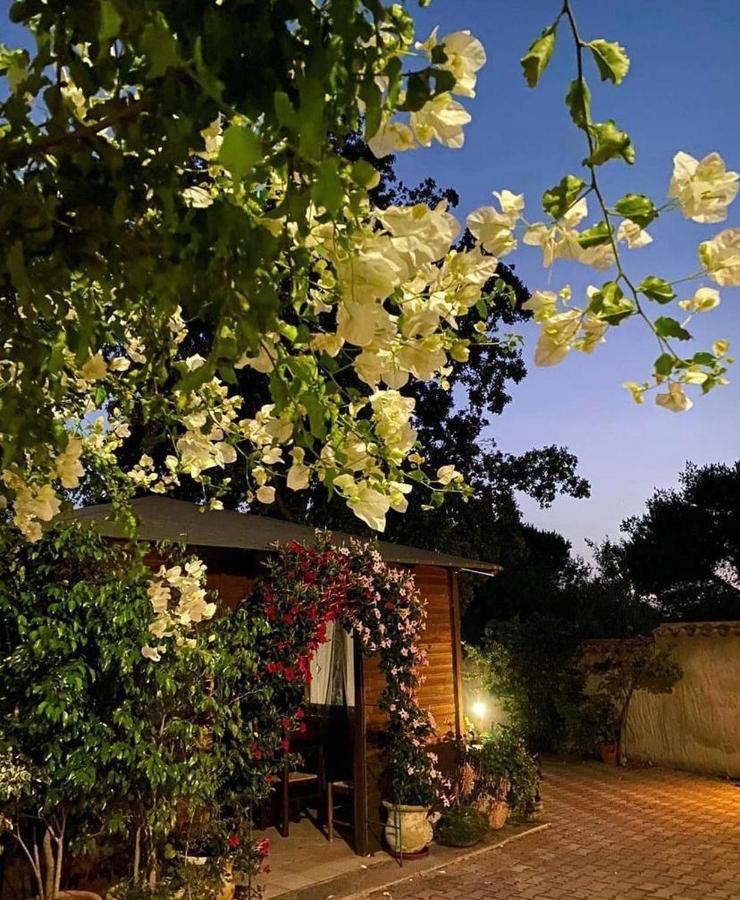 SantʼAnna Arresi B&B Il Girasole المظهر الخارجي الصورة
