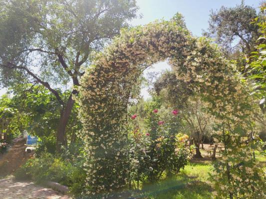 SantʼAnna Arresi B&B Il Girasole المظهر الخارجي الصورة