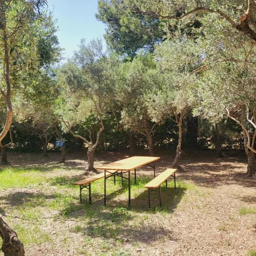 SantʼAnna Arresi B&B Il Girasole المظهر الخارجي الصورة